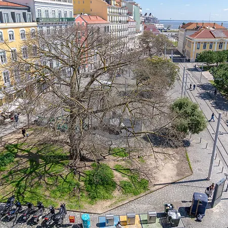 Апартаменты Downtown Seaview